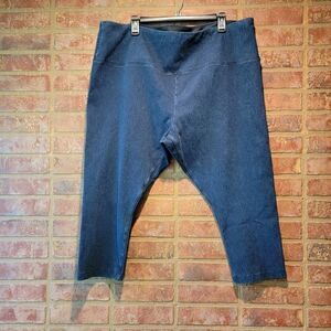Lysse Jeggings blue Plus Size size 3x